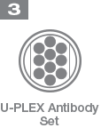 Step 3 U-Plex Antibody Set
